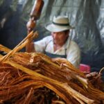 ayahuasca Medellin colombia