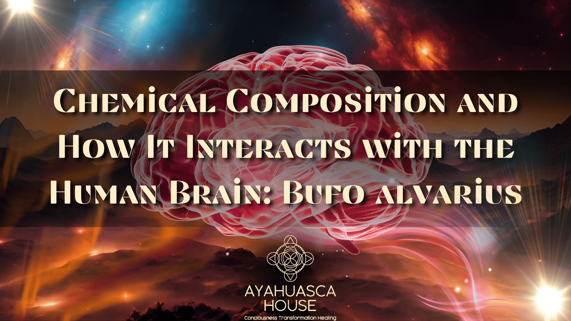 Chemical Composition of Bufo Alvarius and Brain Interaction