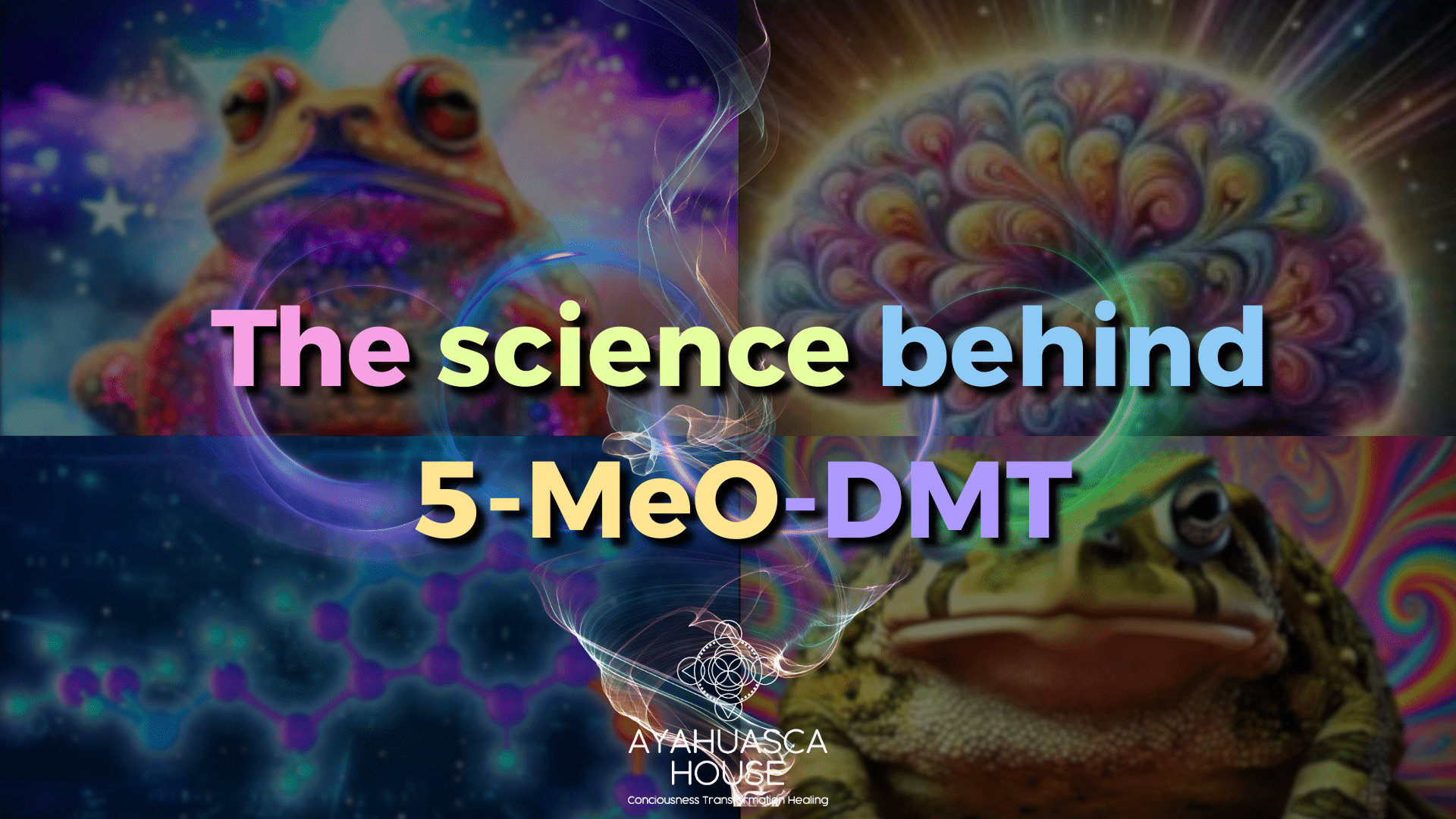The Science Behind 5-MeO-DMT