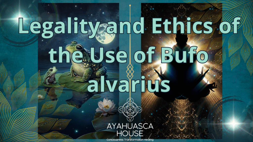 Legality and Ethics of Bufo Alvarius