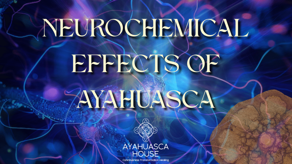 Neurochemical Effects of Ayahuasca