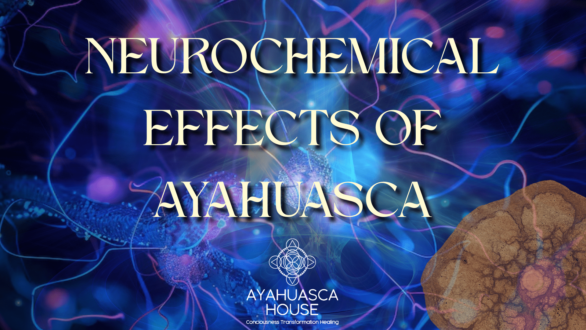 Neurochemical Effects of Ayahuasca