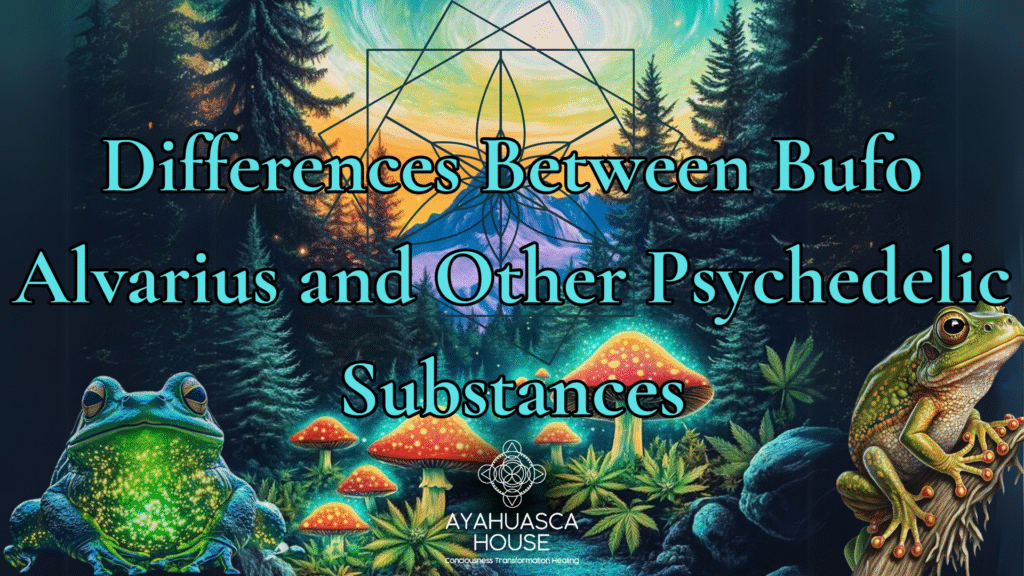 Differences Between Bufo Alvarius and Other Psychedelics