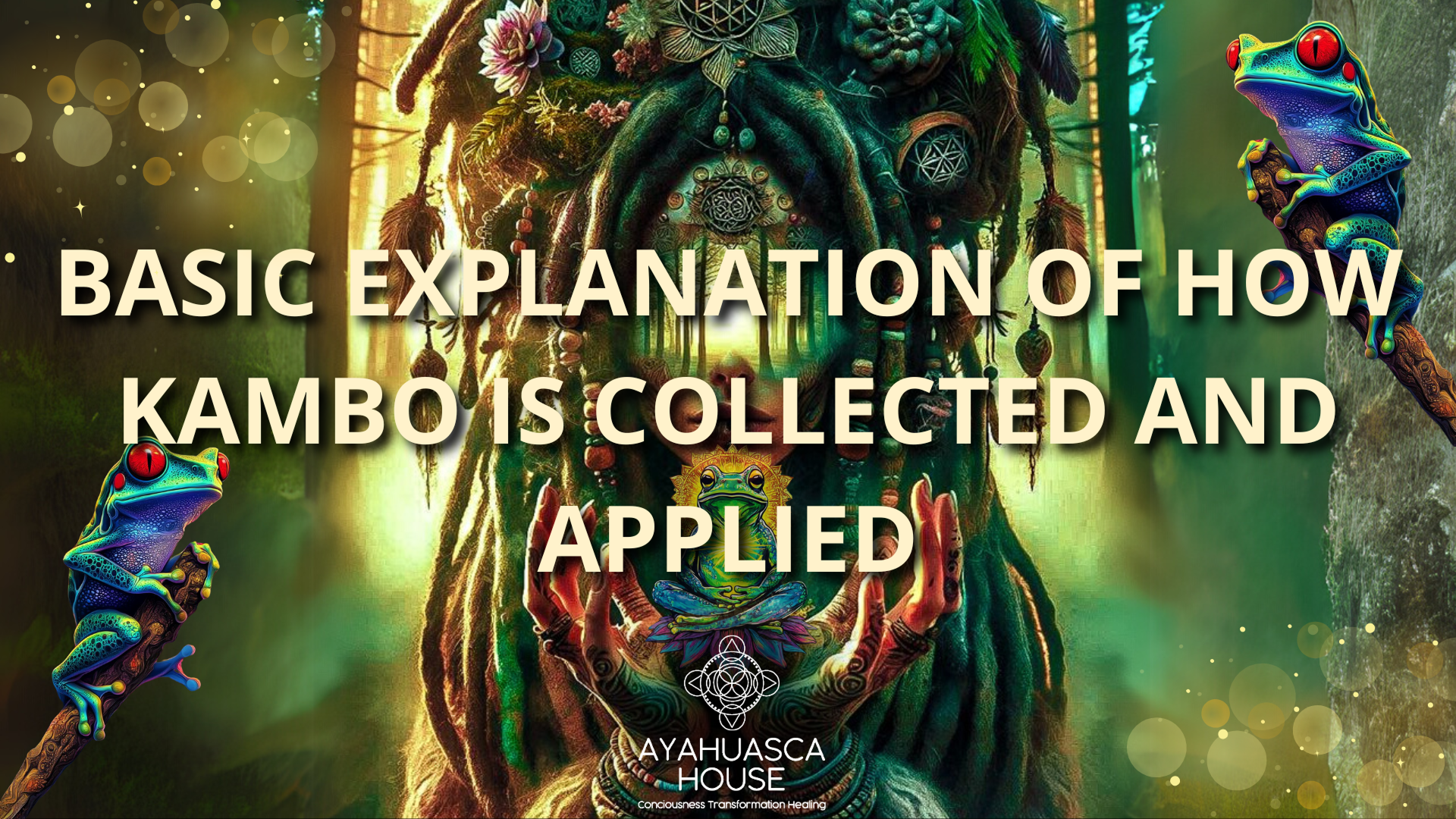 How Kambo is Collected and Applied