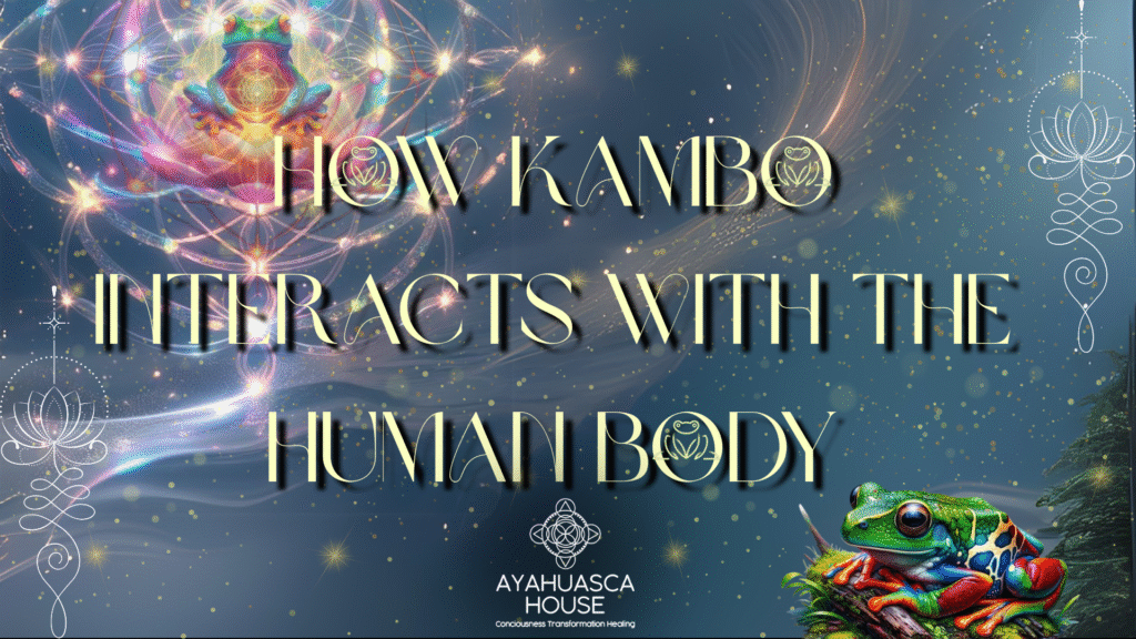 How Kambo Interacts with the Human Body