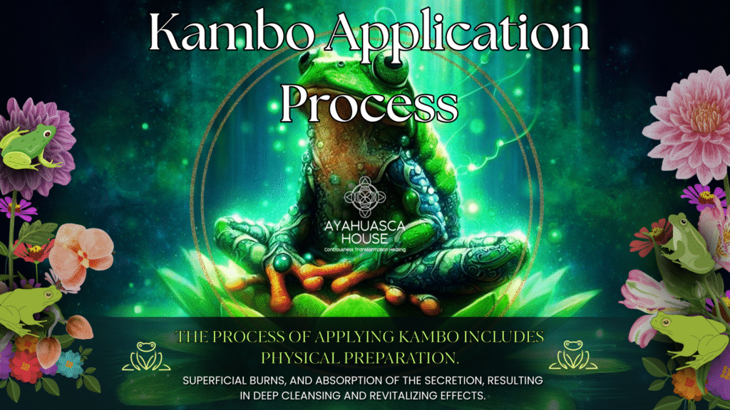 Kambo Application Process