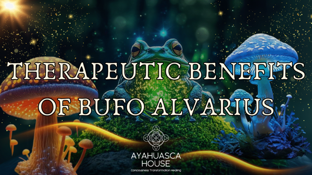 Therapeutic Benefits of Bufo Alvarius