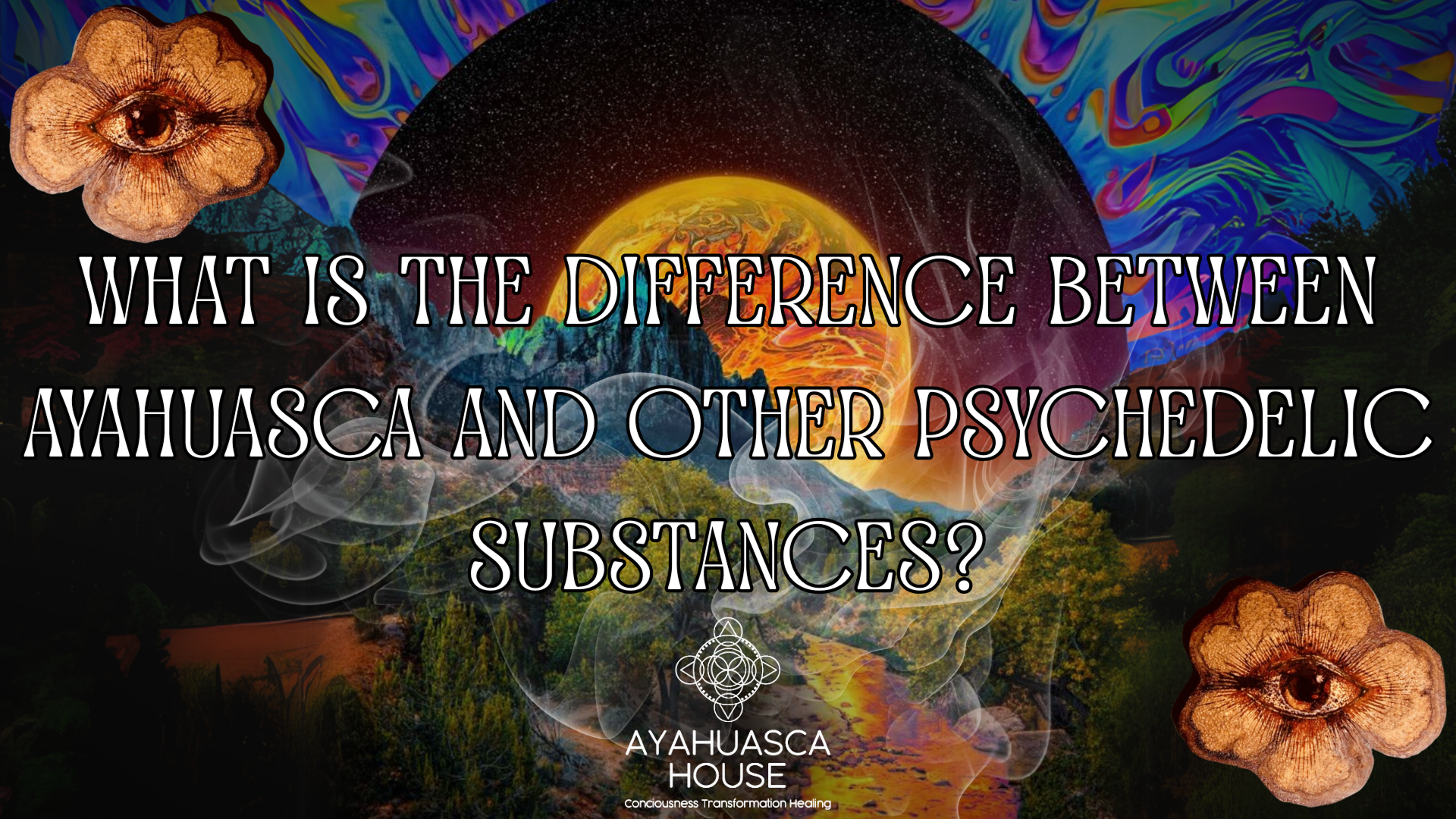 Difference Between Ayahuasca and Other Psychedelics